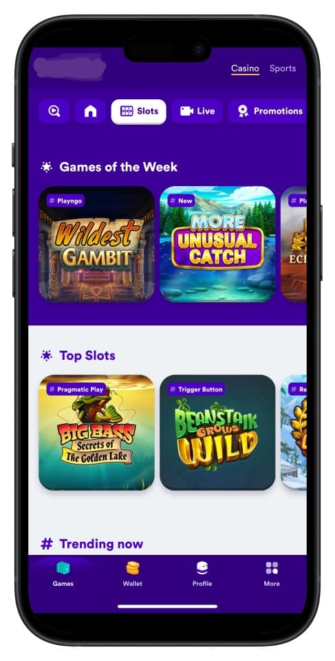 ck999 অ্যাপ ইন্টারফেস স্ক্রিনশট—ইন্টুইটিভ মেনু ও পরিষ্কার লেআউট